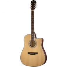 Акустическая гитара FFG-1041NA Foix