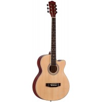 Акустическая гитара PHIL PRO AS-3904/N