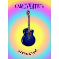 Самоучитель обучения игры на гитаре Шумидуб А.Л.